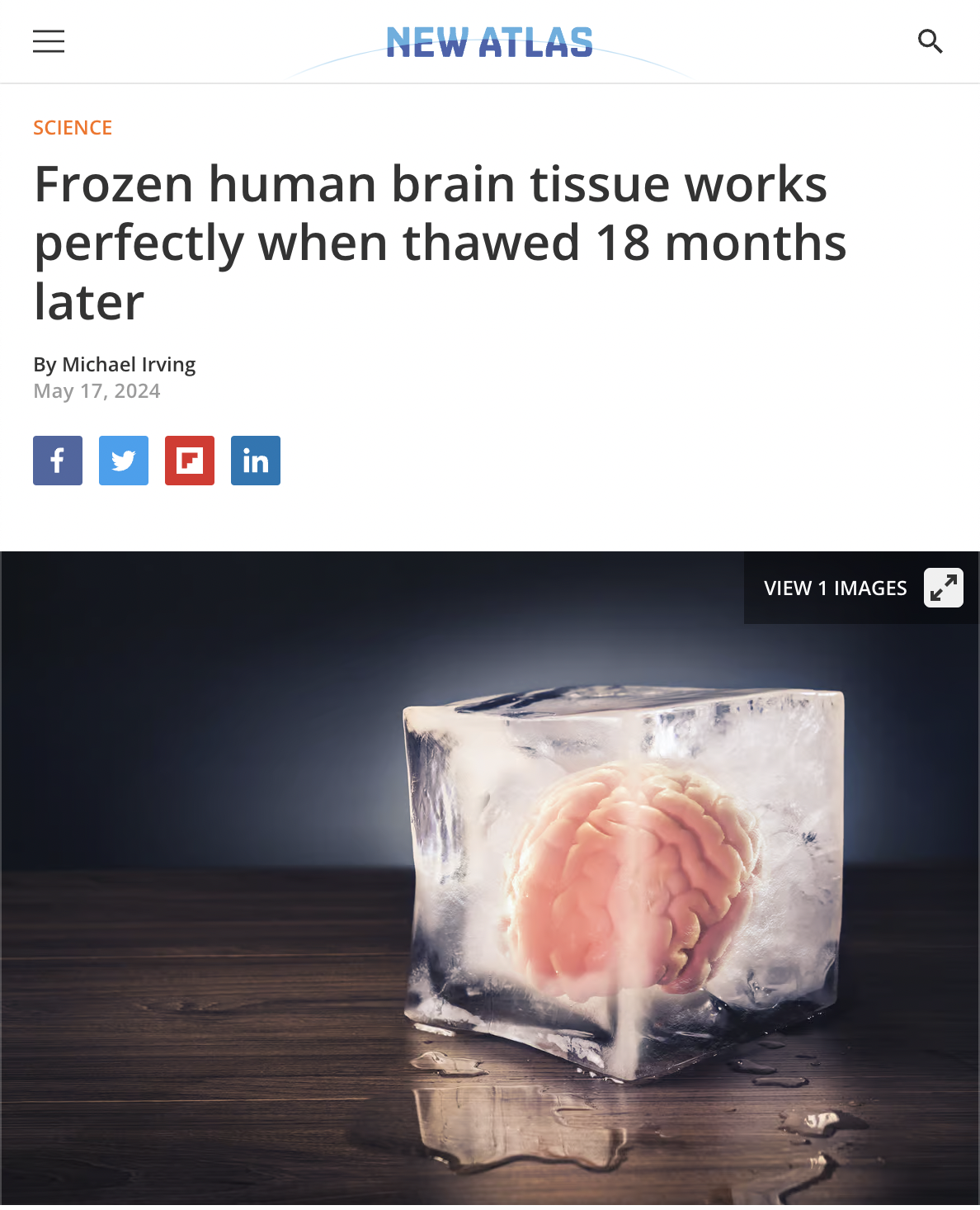 brain in ice cube - 0 Science New Atlas Frozen human brain tissue works perfectly when thawed 18 months later By Michael Irving f in View 1 Images